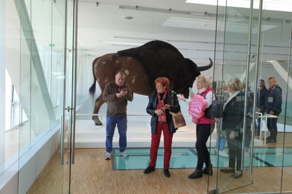 Amitie-020 Amitie-020