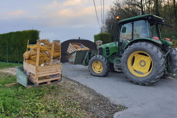 Lions-Tulipes24-01 Lions-Tulipes24-01