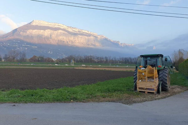 Lions-Tulipes24-02 Lions-Tulipes24-02