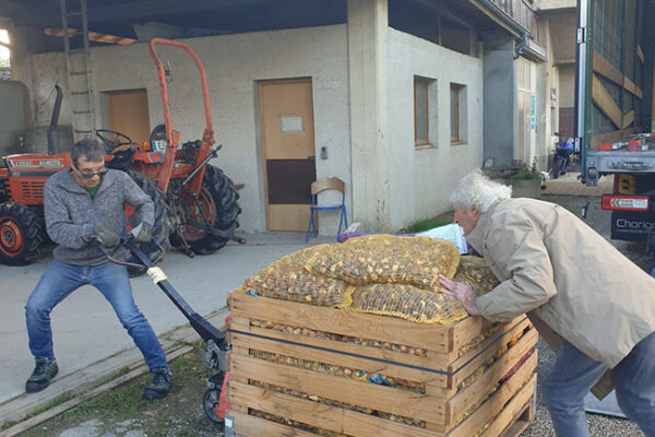 a00ec1f7-3720-4558-9ae1-cda691c8a4e9 a00ec1f7-3720-4558-9ae1-cda691c8a4e9